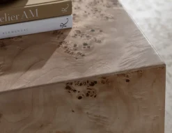 Anissa Burl Wood Coffee Table