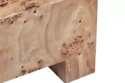 Anissa Burl Wood End Table