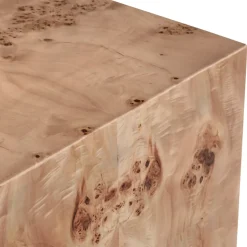 Anissa Burl Wood End Table
