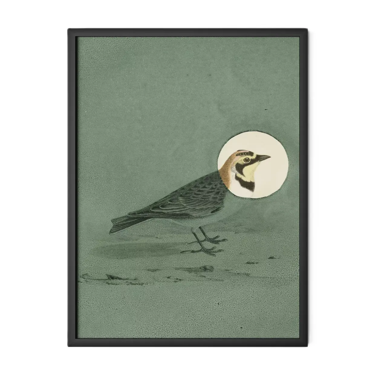 Antique Bird Thyme Wall Art
