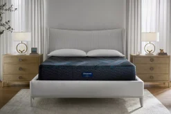 Bailey Creek 2.0 Medium Firm Mattress