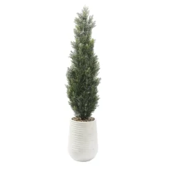 Cedar Tree