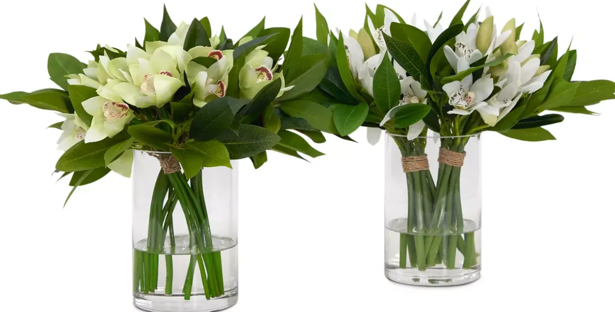 Cymbidium Floral