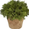 Cypress Greenery