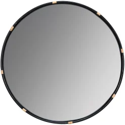 Ervin Mirror