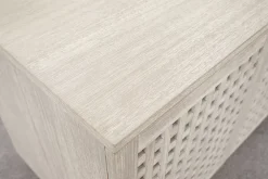 Ginny Entertainment Console