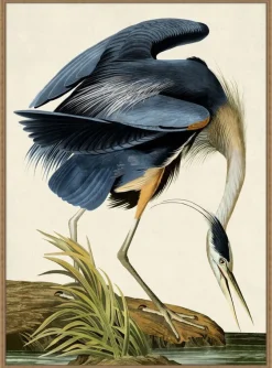 Grand Blue Heron Framed Art