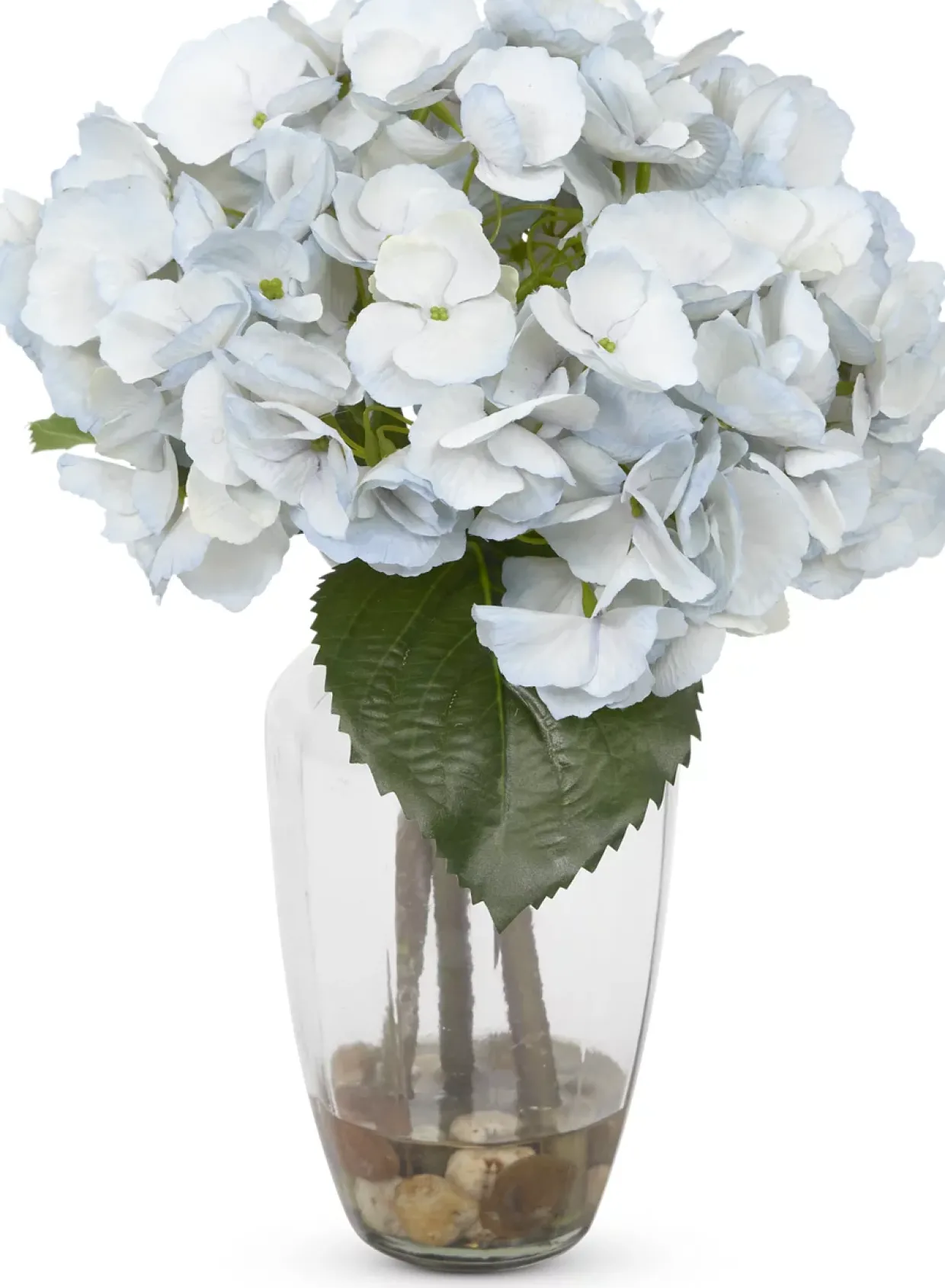 Hydrangea Floral