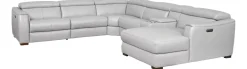 Leo Sectional