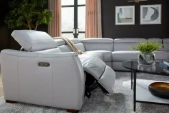 Leo Sectional
