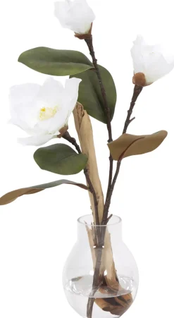 Magnolia Ghostwood Floral
