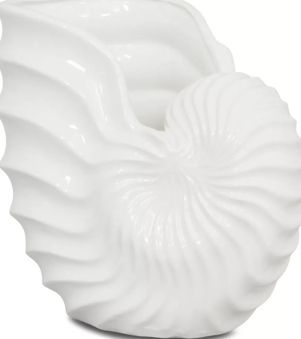 Nautilus Vase