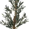 Olive II Tree