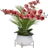 Phalaenopsis II Floral