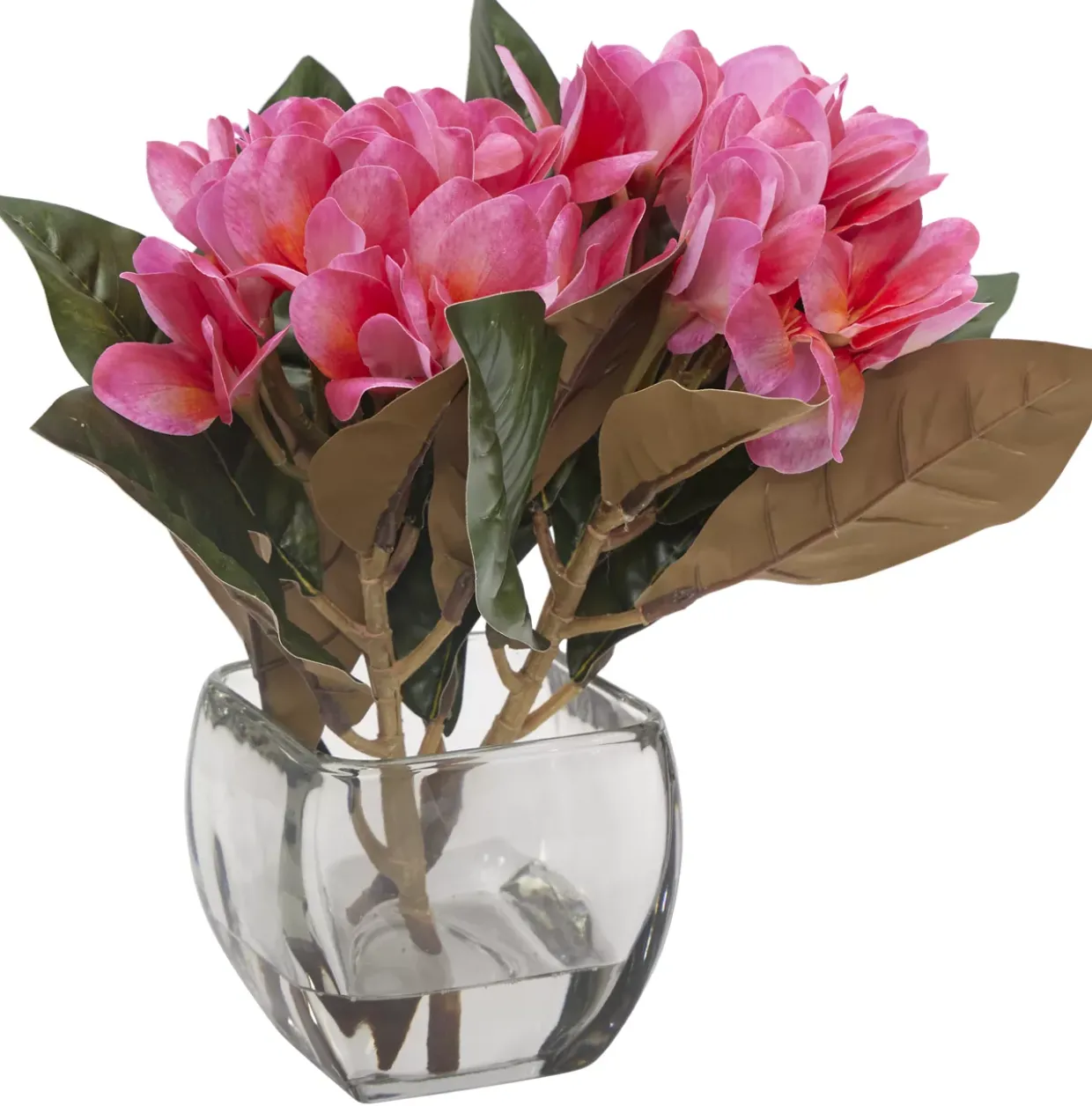 Plumeria Floral