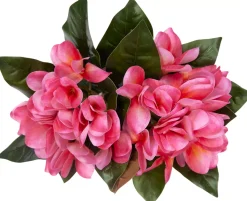 Plumeria Floral