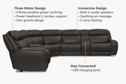 Polaris Sectional