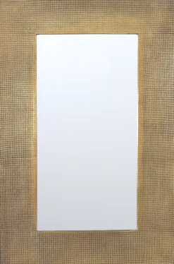 Raven Mirror
