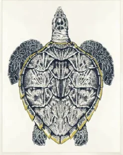 Sea Turtle Framed Art