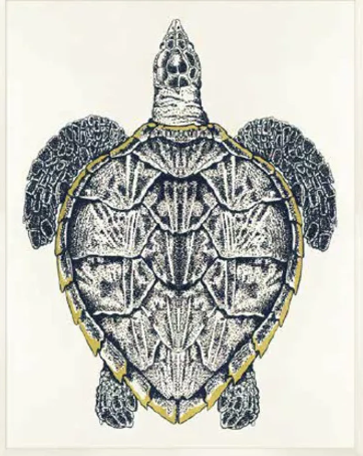 Sea Turtle Framed Art
