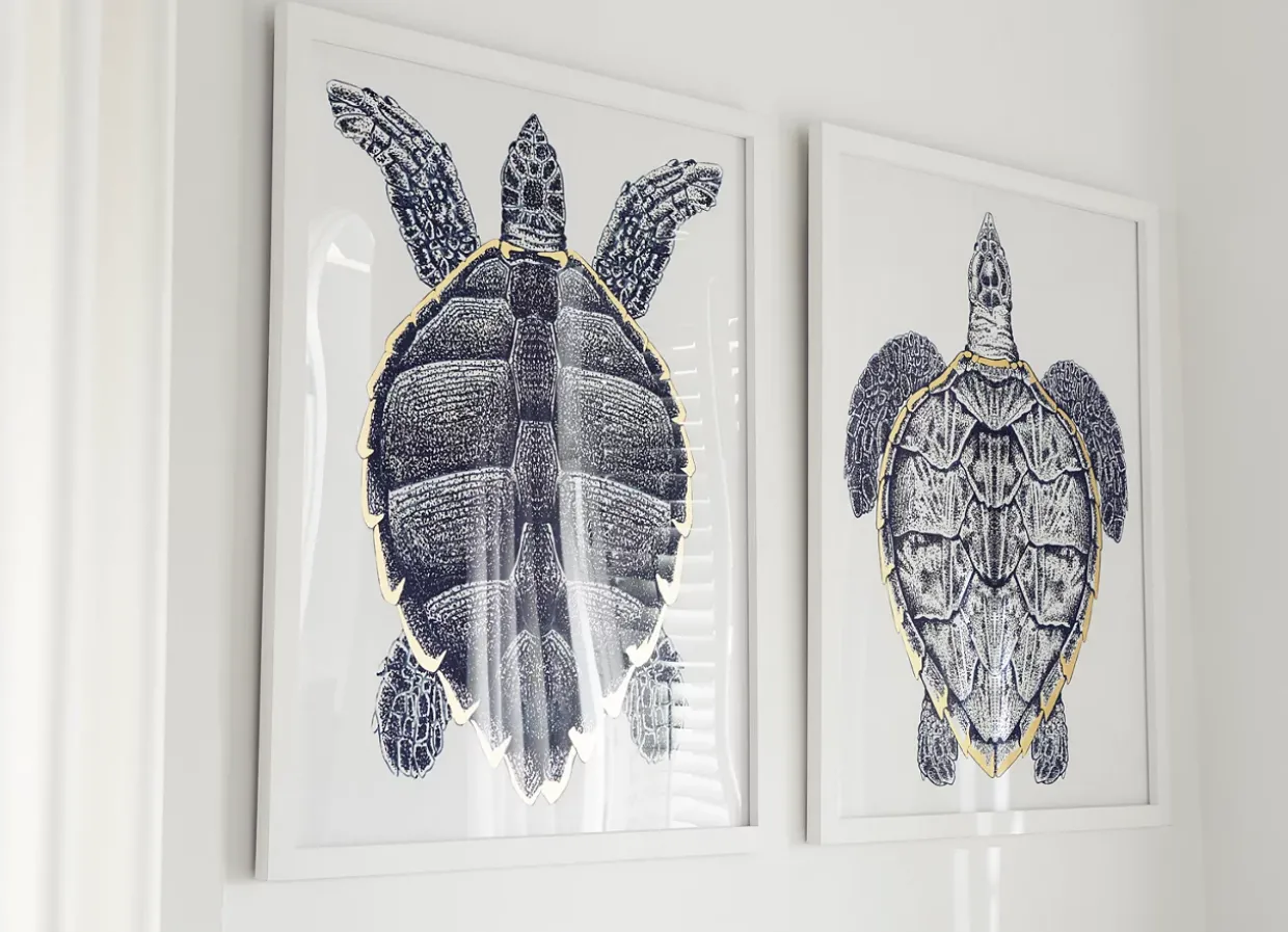 Sea Turtle Framed Art