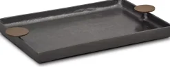 Sirius Tray