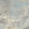 Skyview Wall Art