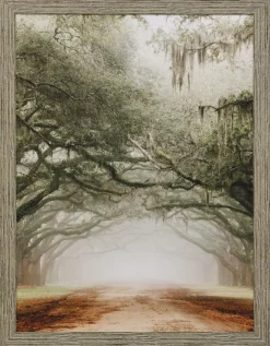 Southern Nostalgia Framed Art
