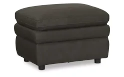 Stanley Ottoman