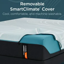 TEMPUR-ProAdapt 2.0 Firm Mattress
